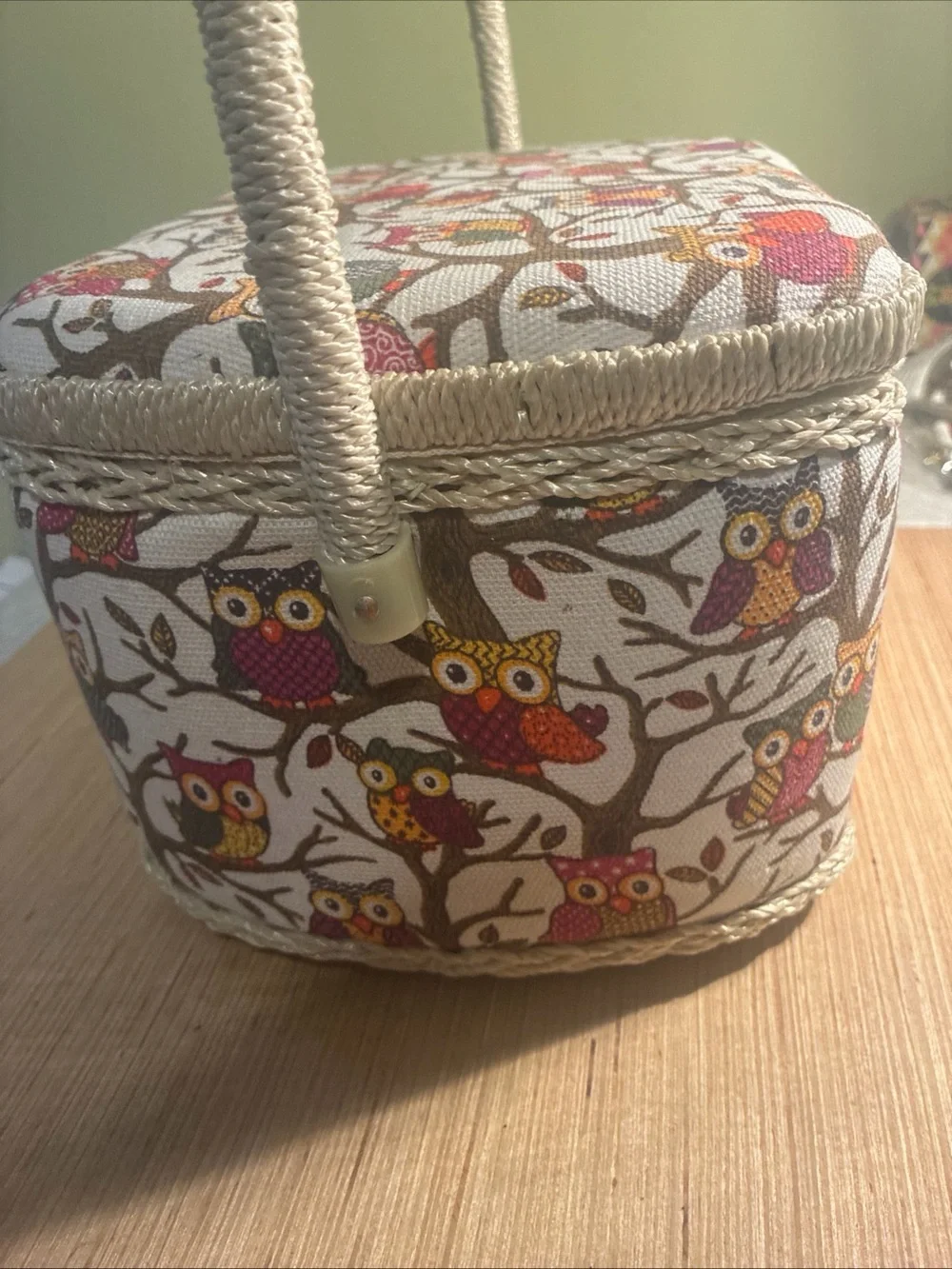 Owl Print Seeing  Box in Cream and Multicolor
